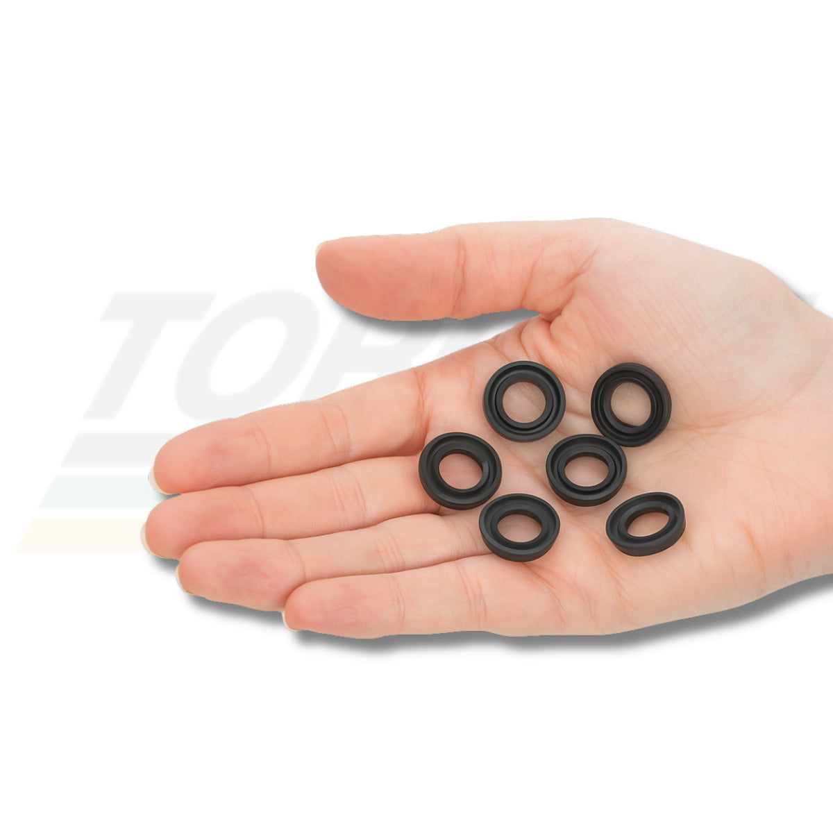 Kit Vedação Bomba para Wap Titan - FW001246 (Original)