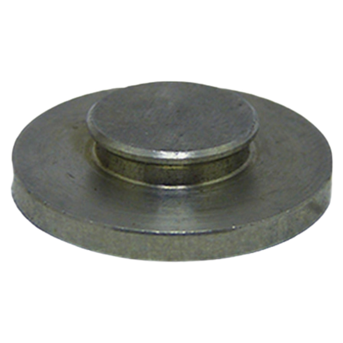 Disco da válvula Karcher HDS