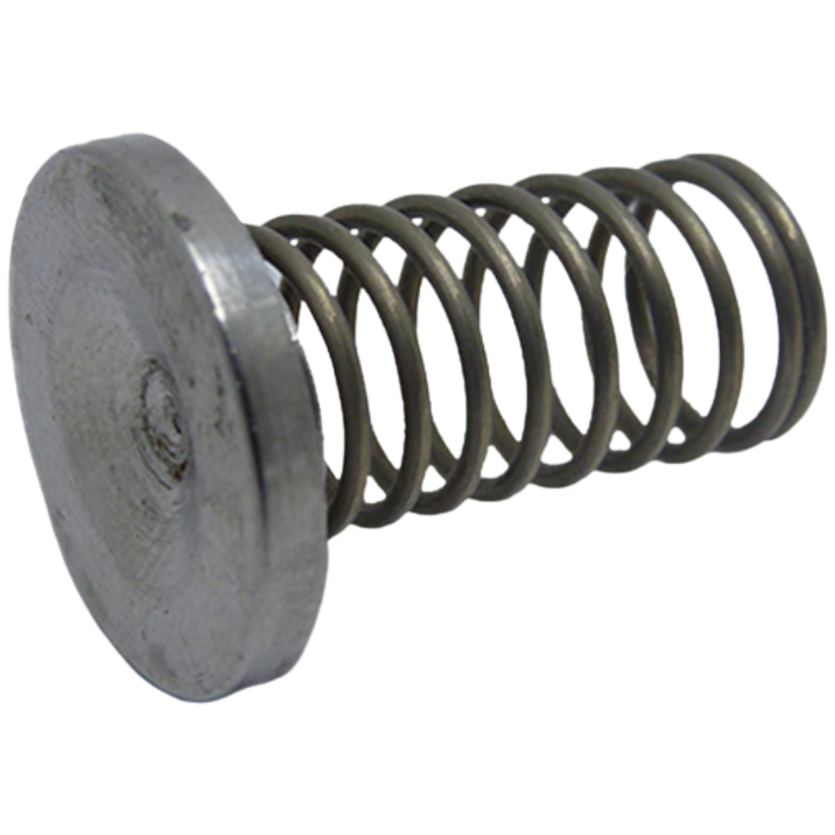 Disco da válvula Karcher HDS