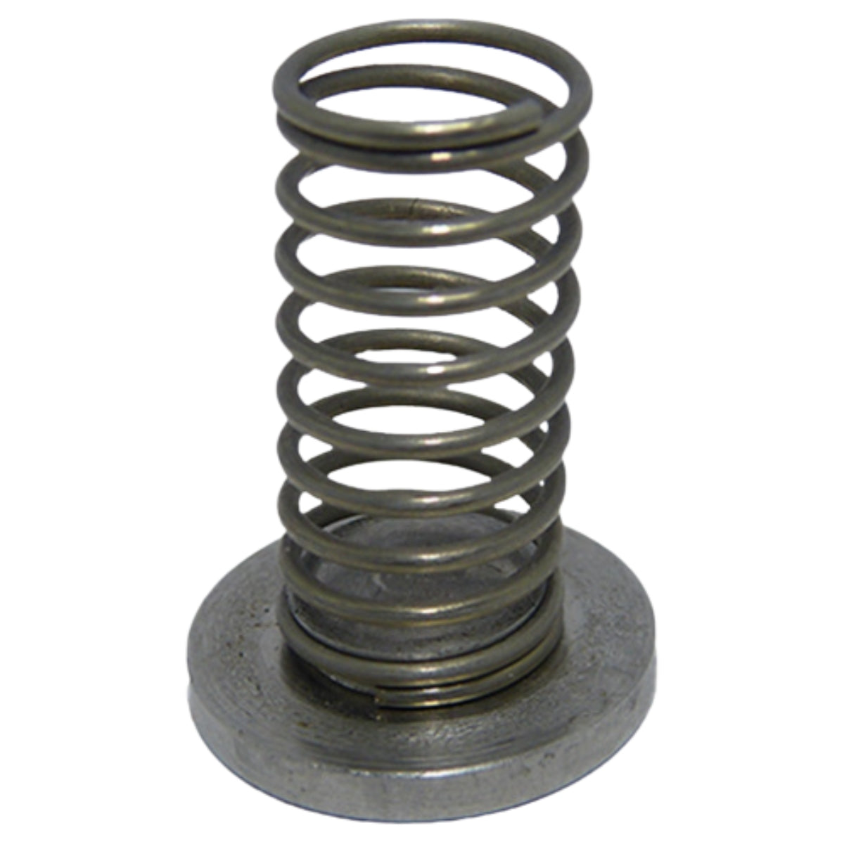 Disco da válvula Karcher HDS