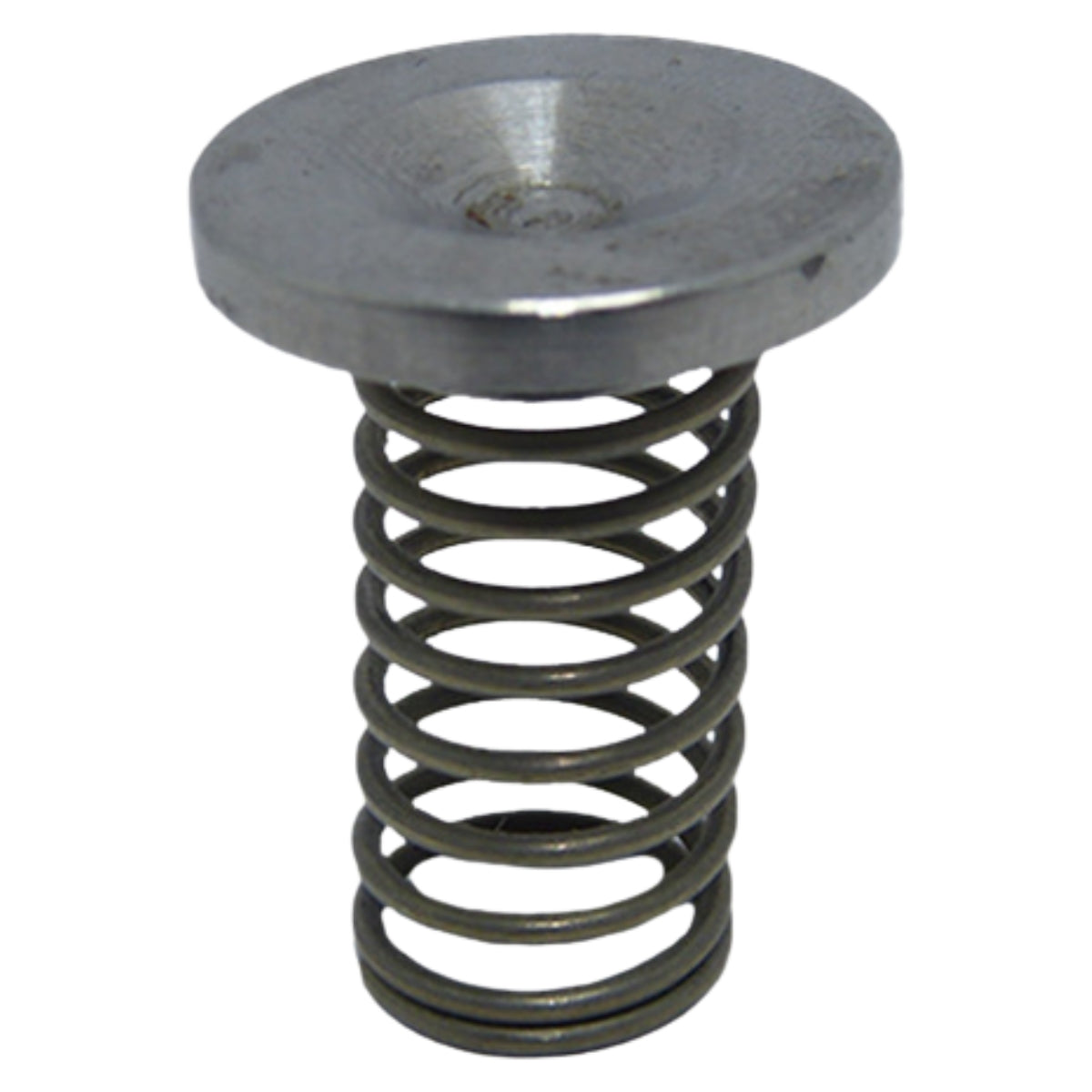 Disco da válvula Karcher HDS