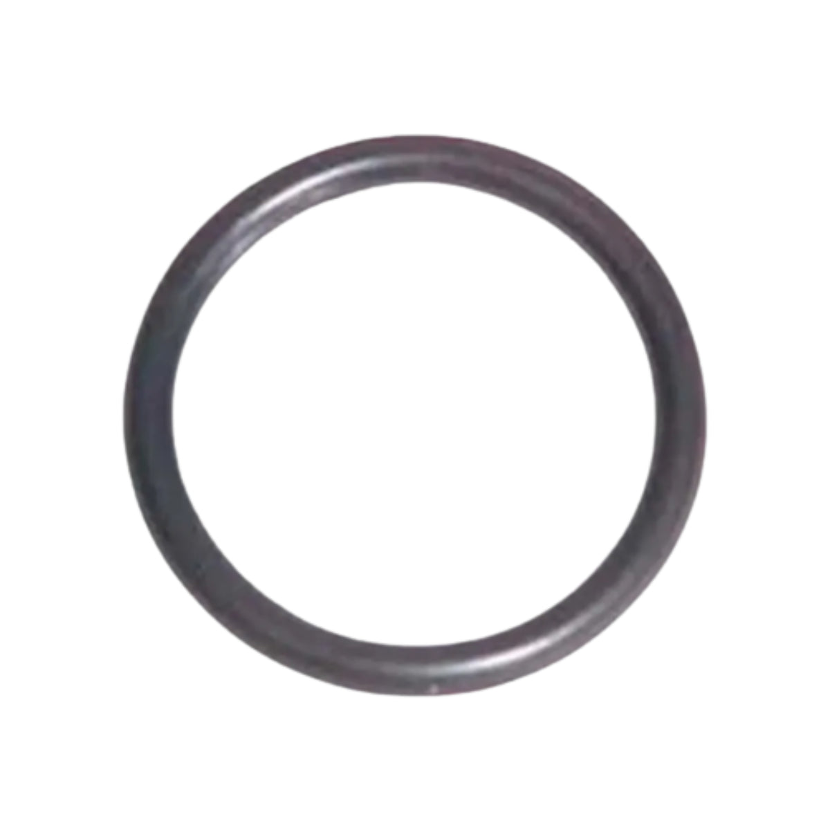 Oring Karcher 24x1,5 Nbr70