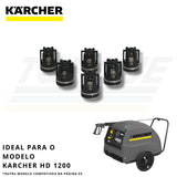 Kit Válvula S/P Karcher HD/HDS 800/1200 - 4.580-230.0 (Original)
