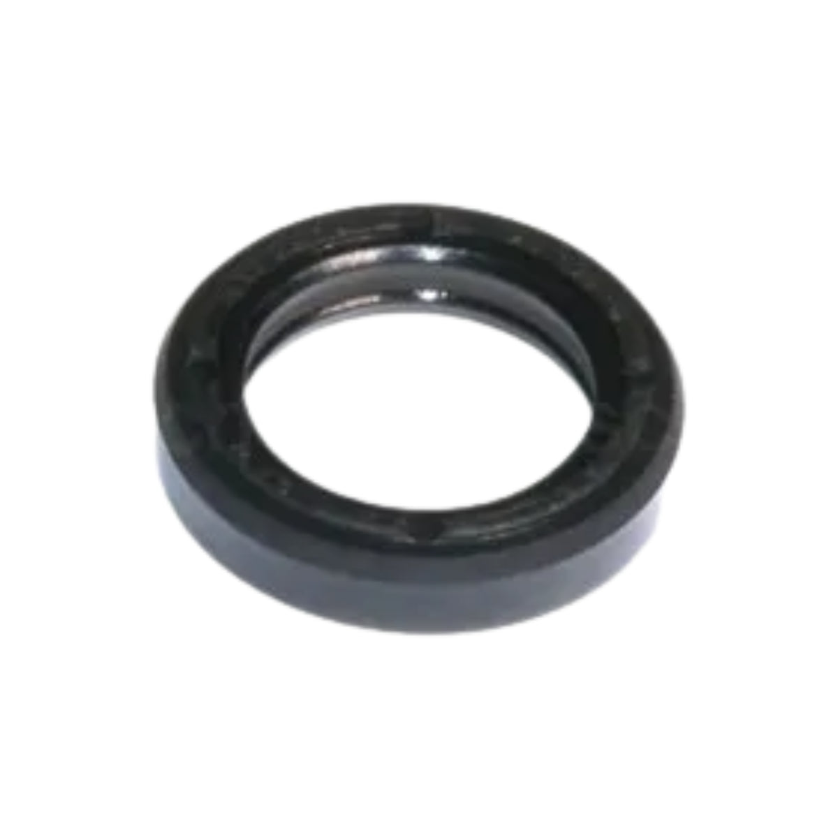 Bucha engaxetamento anel cabeçote  Karcher HDS 1200