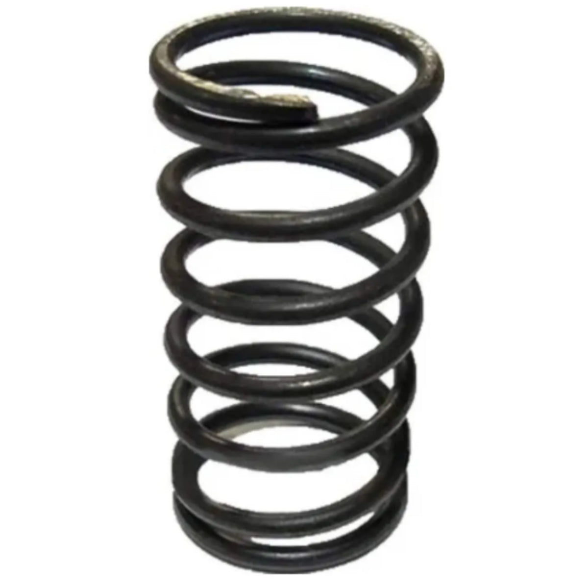 Mola valvula dosadora Karcher