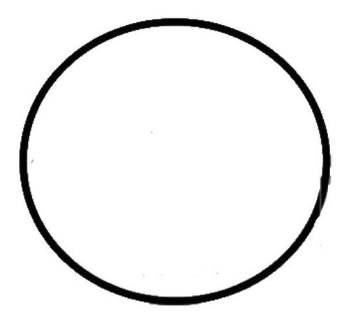 O-ring 107,62x 2,62 63627960 Original Karcher