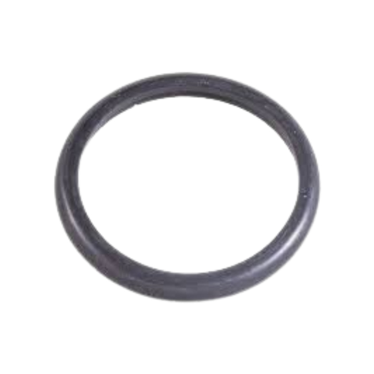 O-ring   Karcher 75,87 X 2,62