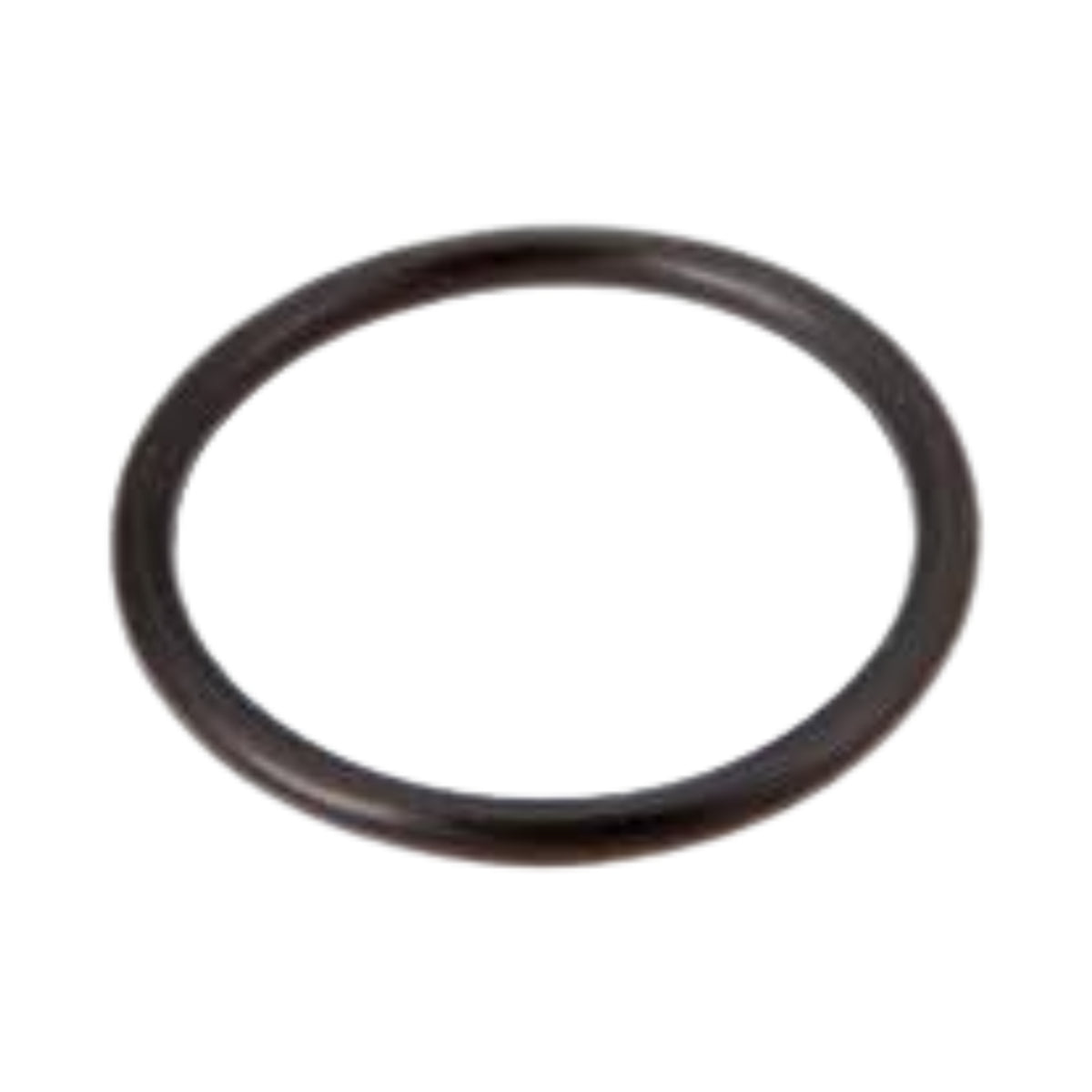 O-ring   Karcher 75,87 X 2,62