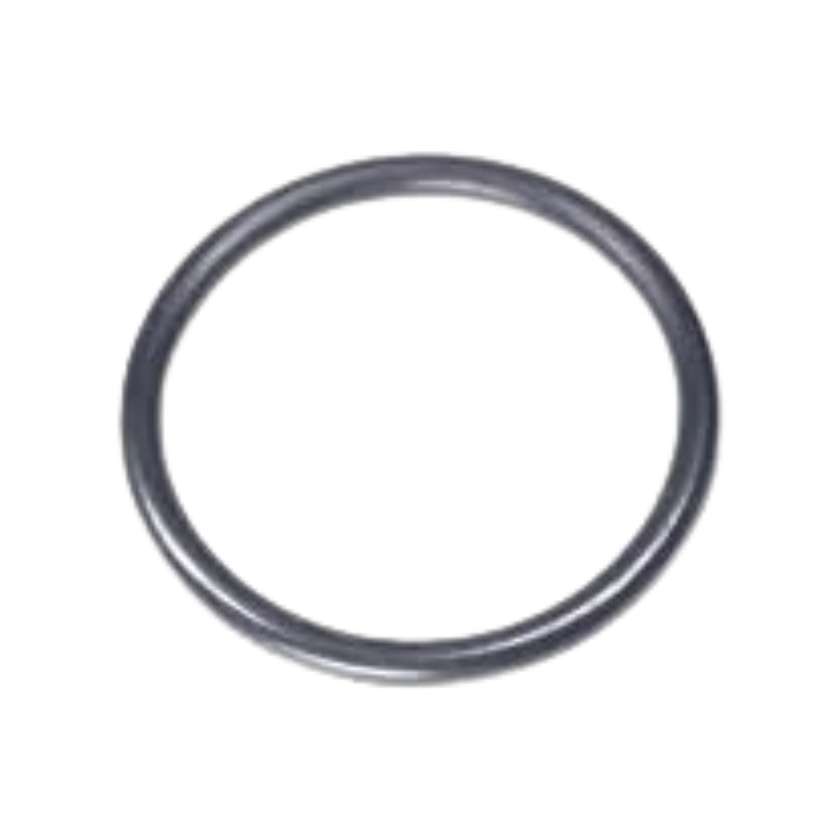 O-ring   Karcher 75,87 X 2,62