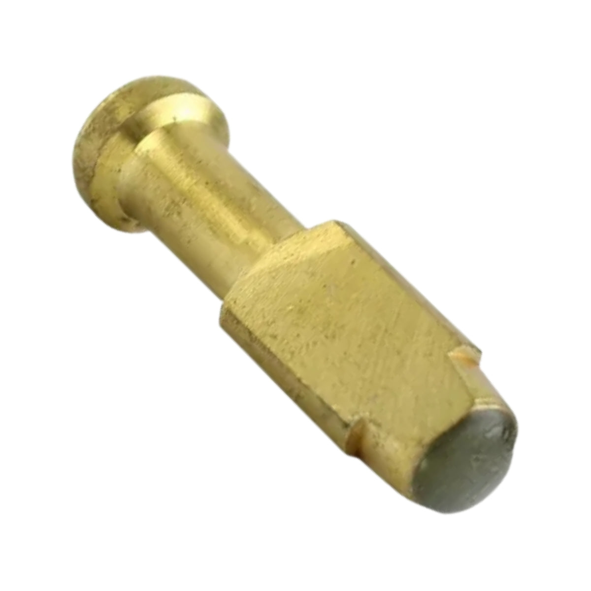 Pistão nadador HDS Karcher